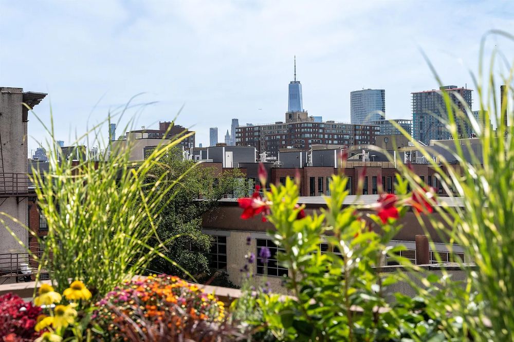 Rooftop garden with flowers and a view of the city skyline